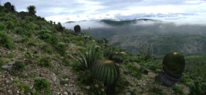 Valle de Tehuacán-Cuicatlán